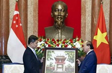 President wishes for more Vietnam-Singapore cooperation projects  