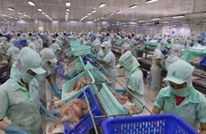 Six more pangasius processing factories eligible to export to US