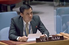 Vietnam calls for ensuring food security for global peace and development