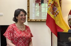 Spain committed to accompanying Vietnam in renewable energy growth: ambassador