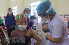 COVID-19: Vietnam records 1,179 new cases, 3,862 recoveries on May 23