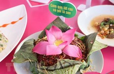 Dong Thap sets World Record for making 200 lotus-based dishes
