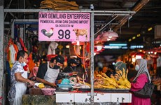 Malaysia halts chicken exports from June 1