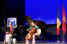 Embassy holds Vietnam-Romania friendship concert in Bucharest