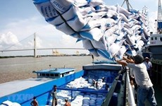 Mekong Delta eyes larger premium-quality rice areas to boost exports