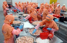Vietnamese export increases in both quantity, quality