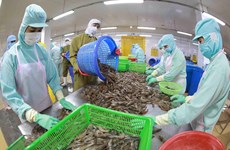 Vietnam’s seafood exports enjoy strong surge despite challenges