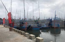 Vietnam to have 184 fishing ports by 2050: draft plan