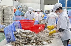 South Africa a potential market for Vietnam’s fishery products: official