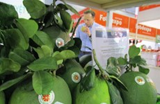 Vietnam shows potential for fruit exports to US