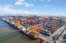More room to develop Vietnam's international shipping fleet