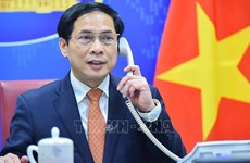Vietnam treasures traditional friendship, multifaceted cooperation with Austria