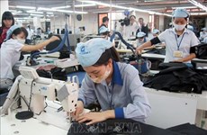 Dong Nai province posts trade surplus of 2.9 billion USD in Jan-May period