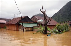 Natural disasters developing complicatedly, unpredictably this year: forecaster