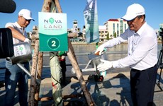 Binh Thuan aims to plant 10 million trees by 2025