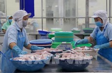 Vietnam’s aquatic product exports to China to grow this year: official