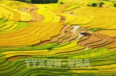 Vietnam nominated in 10 categories at World Travel Awards 2022