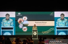 Indonesia, Australia to promote clean energy investment