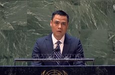 Vietnam supports efforts on denuclearisation on Korean peninsula: ambassador
