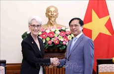 US – leading important partner of Vietnam: FM