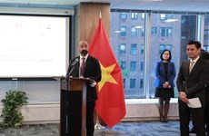 Vietnam hopes for UNCLOS Group of Friends’ greater role in responding to emerging challenges