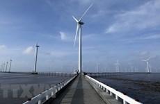 Regional cooperation key to renewable energy in Asia: experts