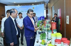 Workshop seeks to boost Lai Chau’s tea exports