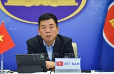 Vietnam spreads peace, cooperation message at SAIFMM: Ambassador 
