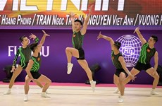 Vietnam win gold at world aerobic competition