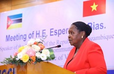 Mozambique – gateway for Vietnamese firms to access Southern Africa