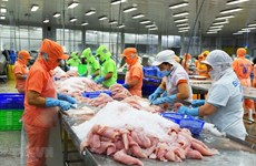 Seafood exporters face challenging second half of 2022: conference