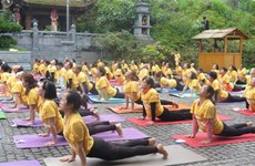 Lao Cai hosts 8th international yoga day
