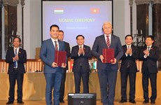 Educational cooperation between Vietnam and Hungary should be promoted: Deputy PM