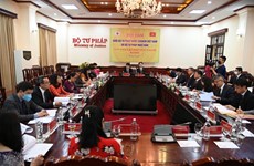 Vietnam, Japan boost legal and judicial cooperation