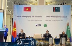 Vietnamese, Turkmenistan firms enhance business cooperation