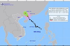 Typhoon Chaba not hit Vietnam, weakens to tropical depression