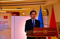 Vietnam contributes to UN Human Rights Council with meaningful messages: official