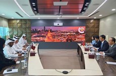 Vietnam, Qatar hold second deputy foreign ministerial political consultation