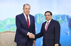 Vietnam treasures and wants to deepen ties with Russia: PM