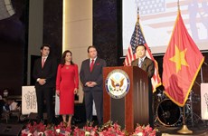 Vietnam-US comprehensive partnership develops fruitfully: minister