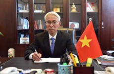 Ambassador highlights new strides in Vietnam - China relations