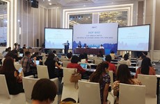 Vietnam to host third meeting of APEC Business Advisory Council