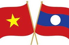 Vietnamese Consul General in Luang Phrabang presents credentials
