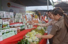 Specialties of Dak Lak to hit shelves of Central Retail supermarkets