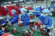 Number of new enterprises in Ca Mau surges