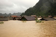 Climate change could push 1 million Vietnamese into extreme poverty by 2030: WB