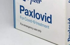 Indonesia approves Paxlovid for COVID-19 treatment