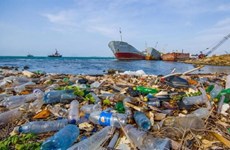 UNDP aids Binh Dinh in marine waste collection