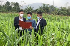 Agribank hosts Asia-Pacific agricultural credit forum