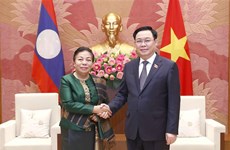 Vietnamese NA willing to support Laos in personnel training: Top legislator 